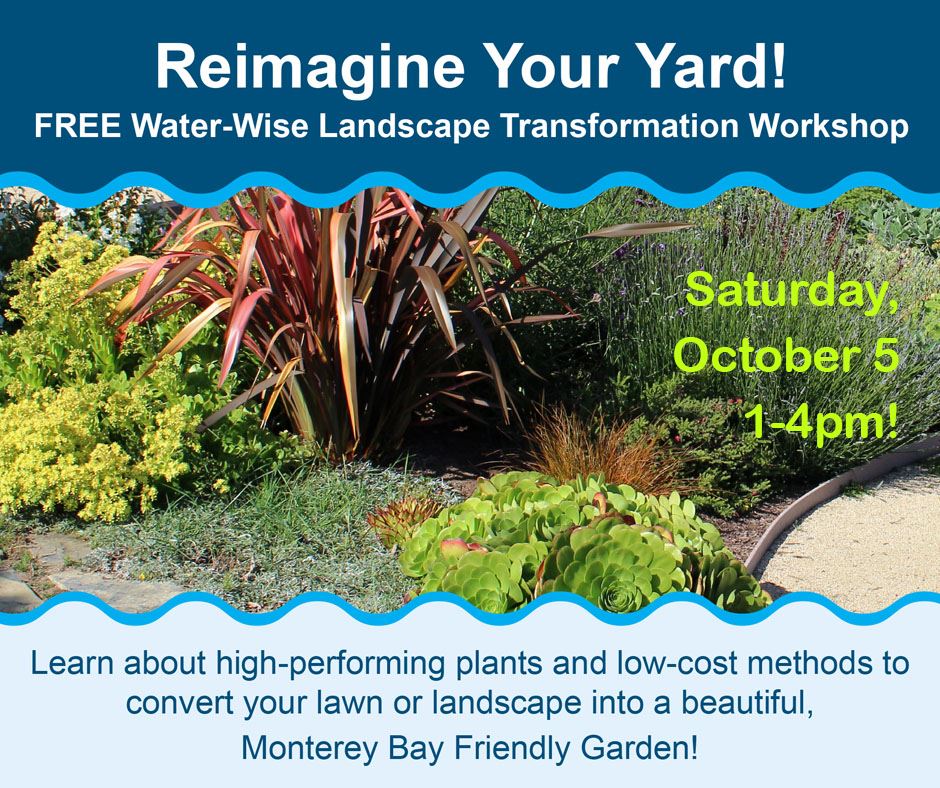 Free Water-Wise landscape transformation workshop at 30 Harkins Slough Road, Watsonville October 5, 