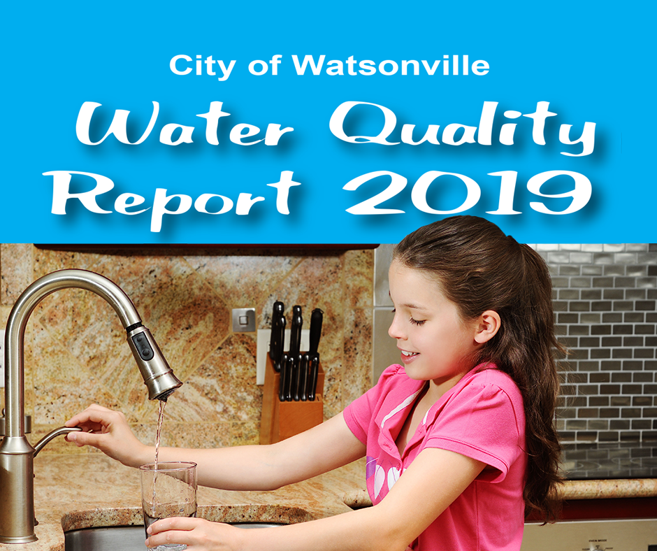 Water quality report