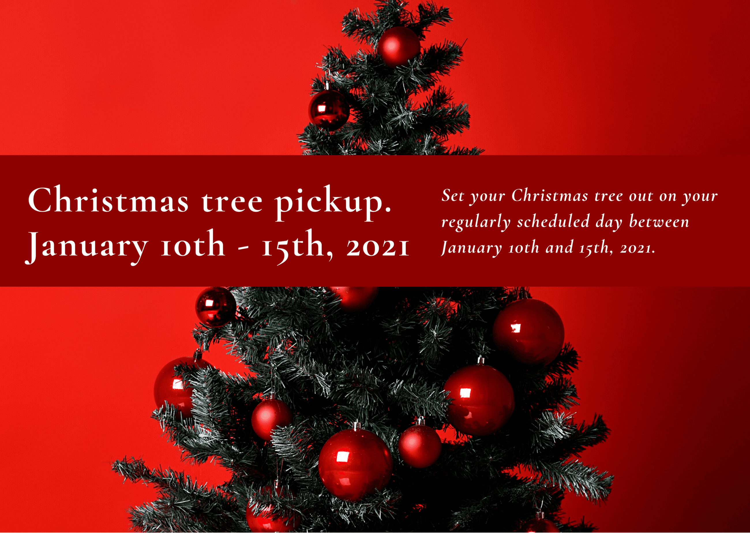 Christmas Tree Pickup 2021