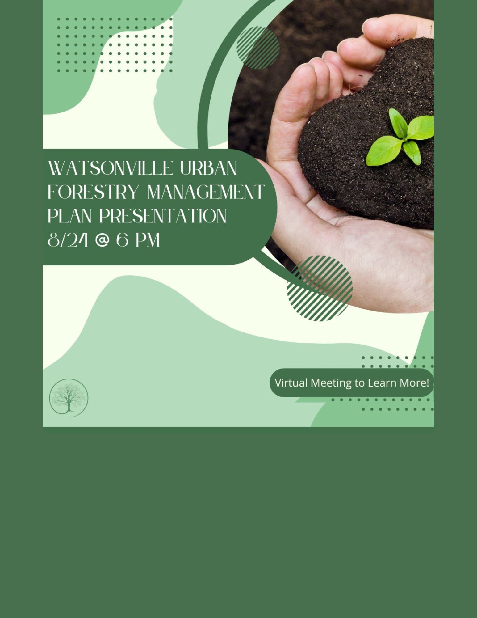  Urban Forest Management Plan website template 