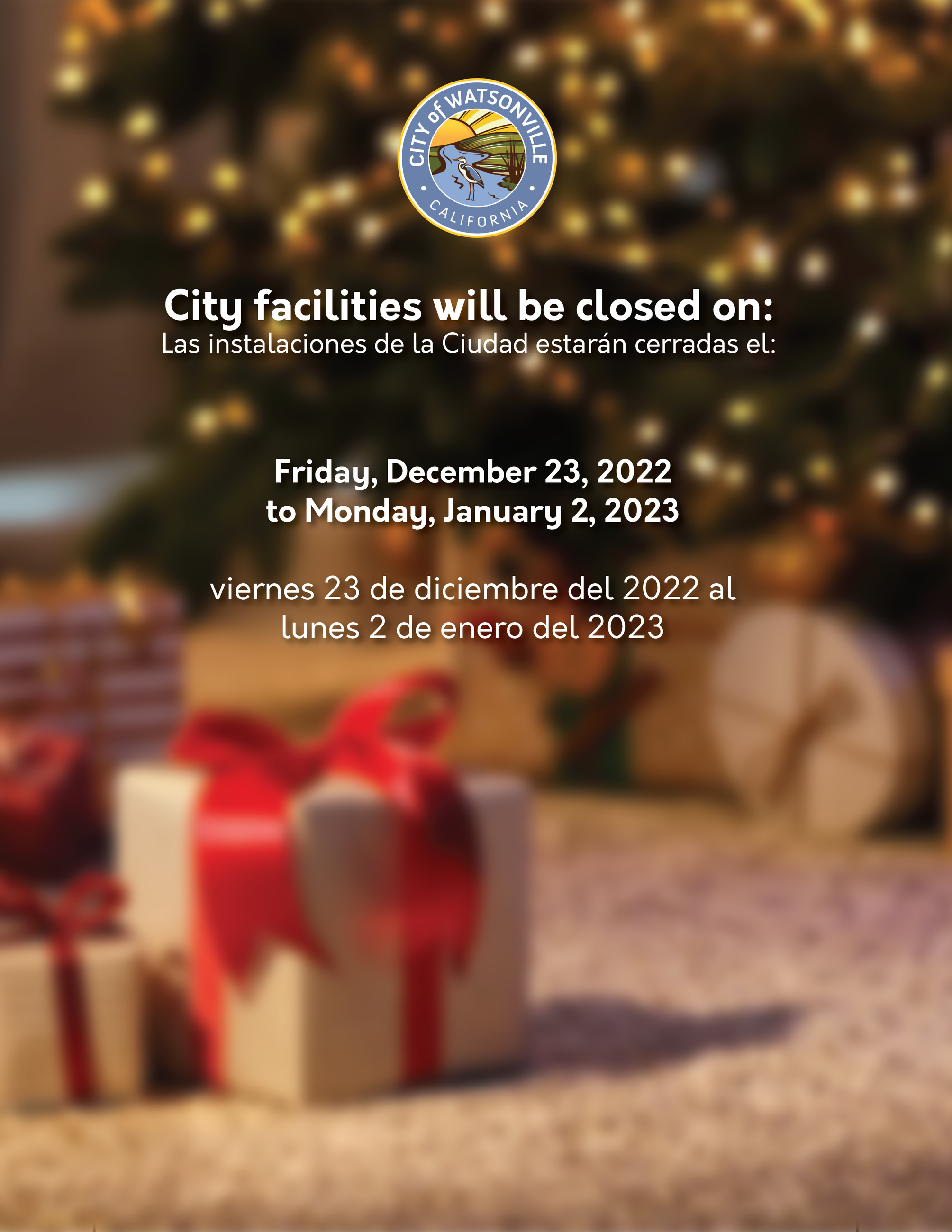 WEB_CITY_HOLIDAYCLOSURE-04
