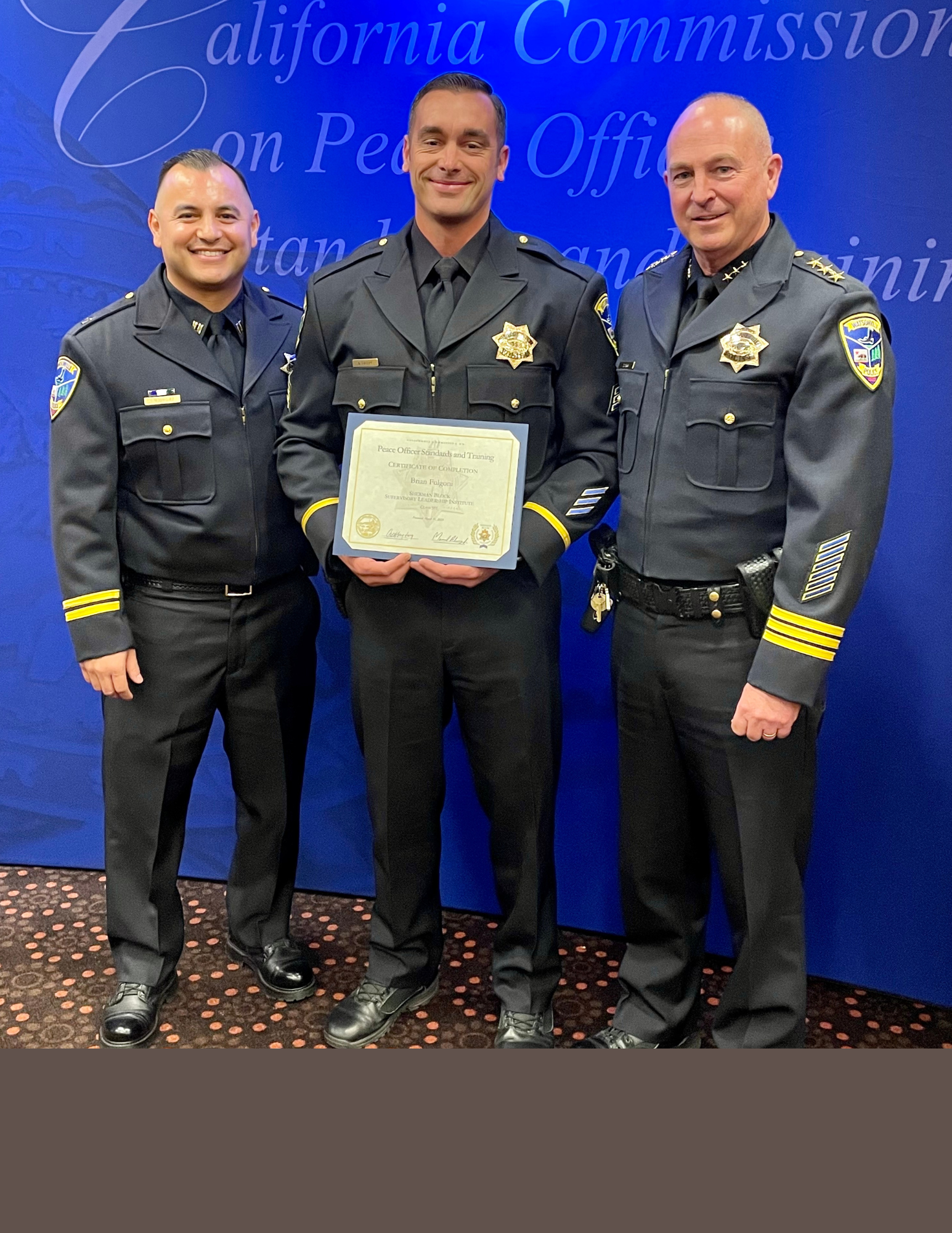 Fulgoni SLI web template 