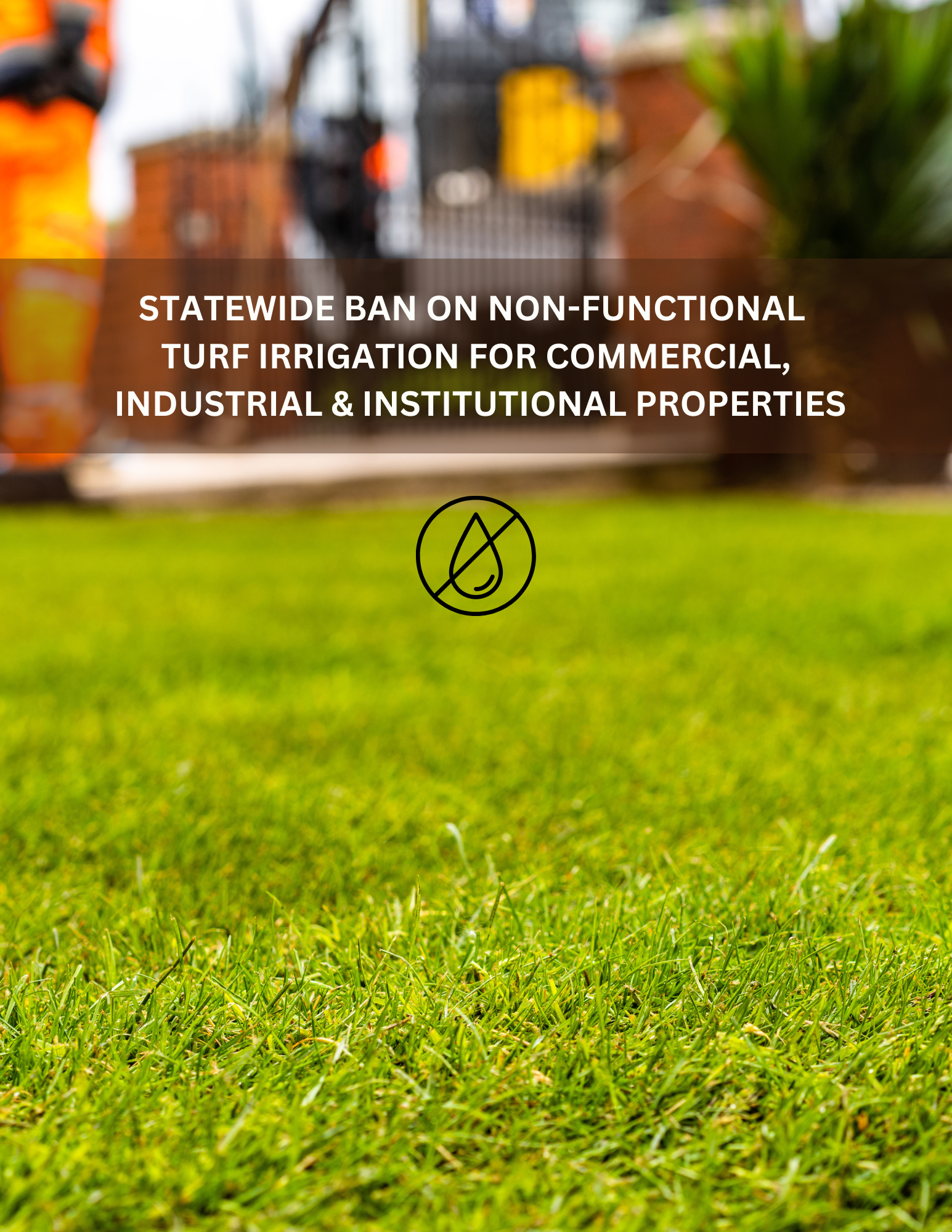 BAN ON NON-FUNCTIONAL TURF (3)