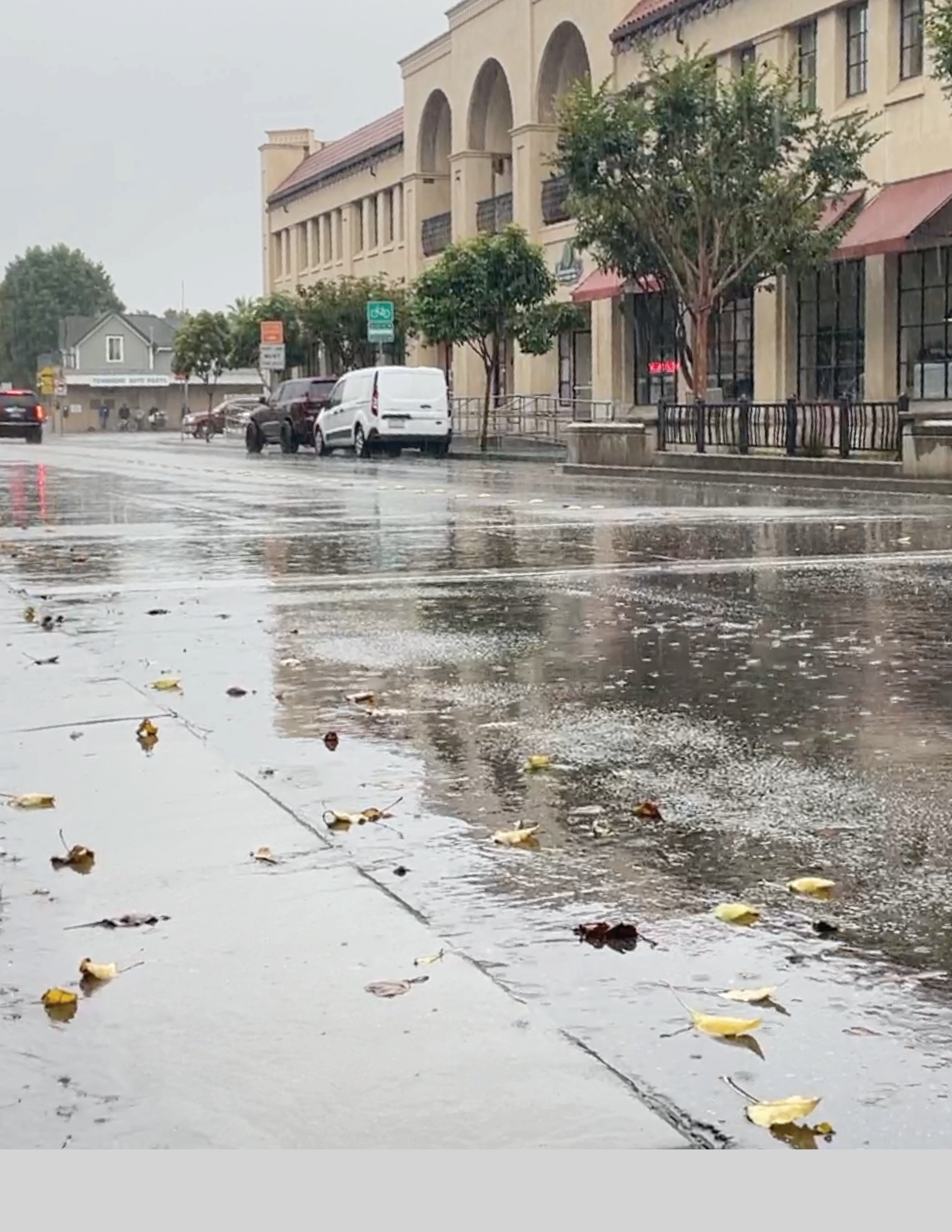 WEBSITE TEMPLATE  (4)