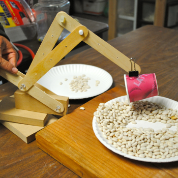 Science Workshop Image