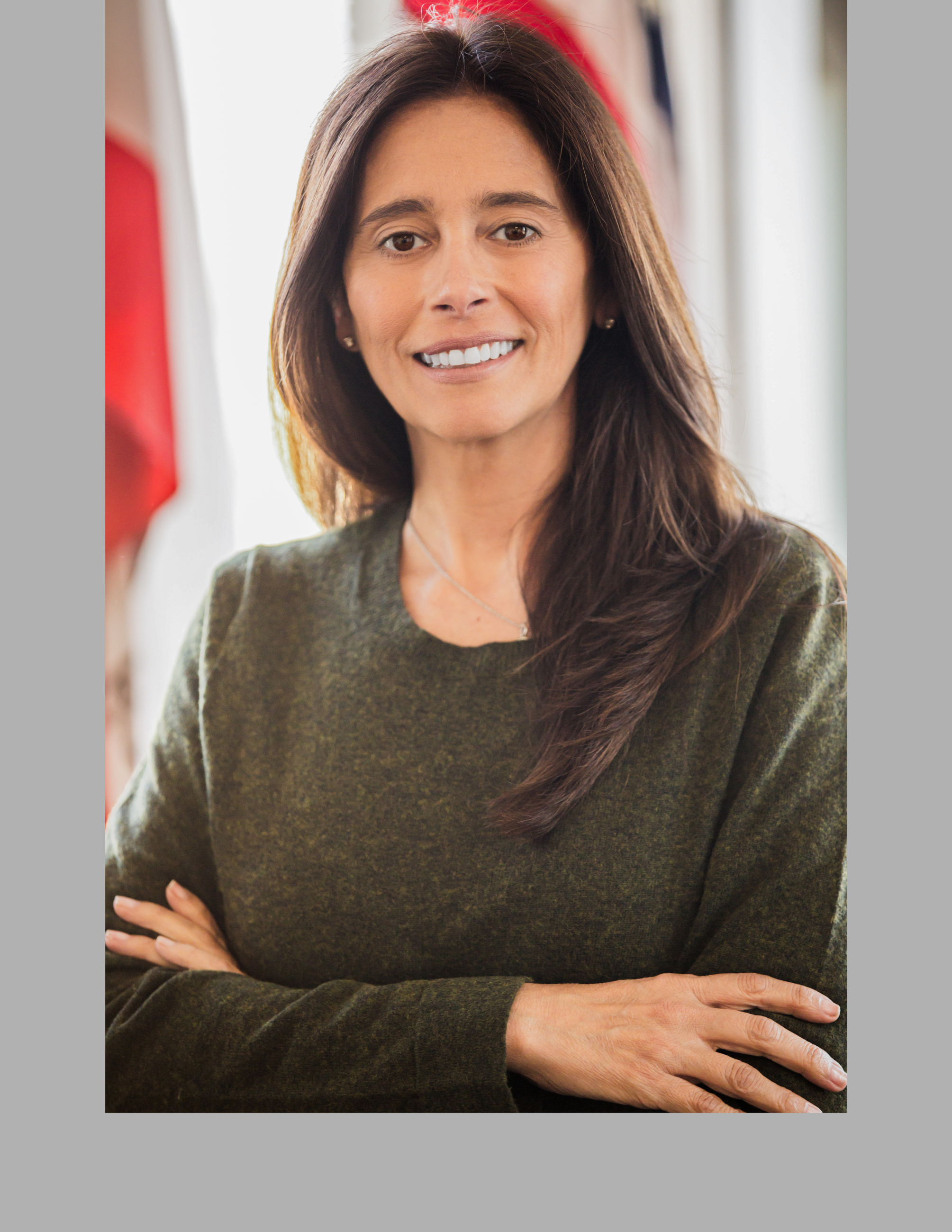 T Vides Website Template 