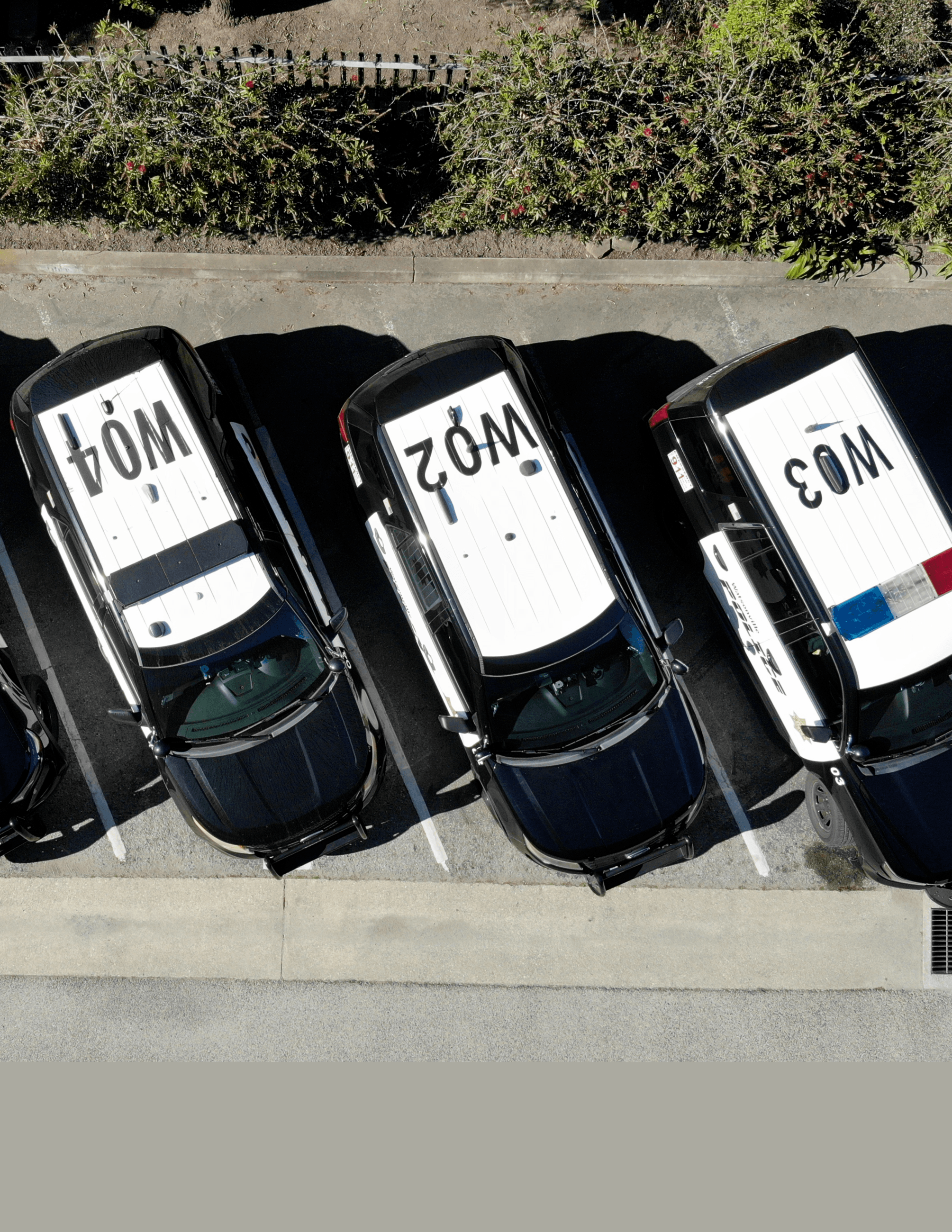 WEBSITE TEMPLATE  (19)