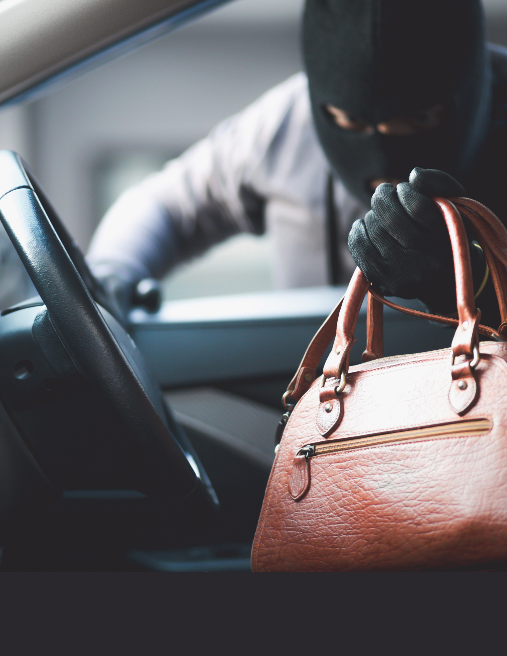 WEBSITE TEMPLATE  (20)