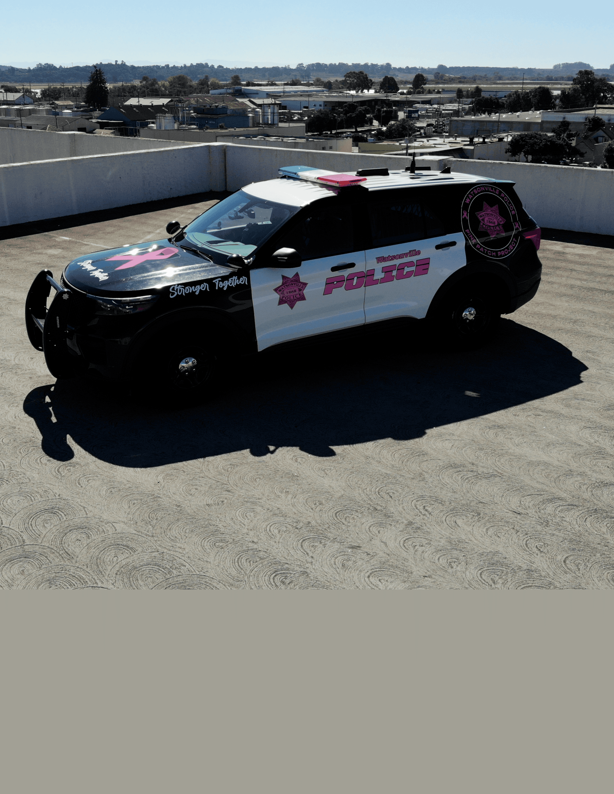 Pink Patrol Car 