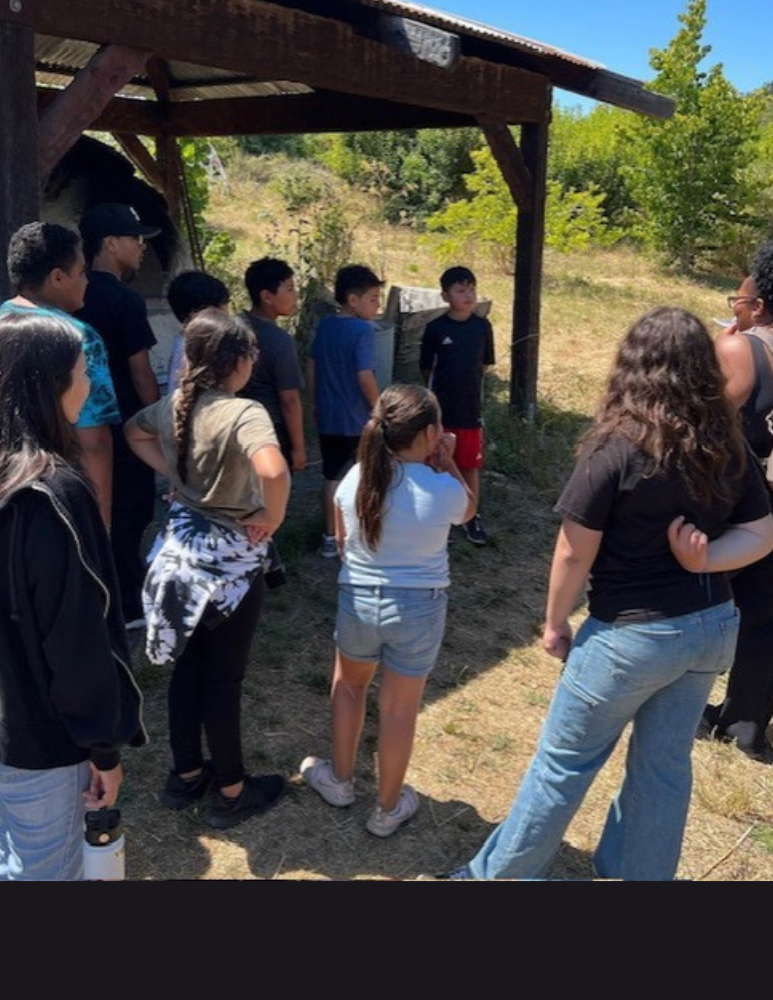 Kids at beach during a field trip 