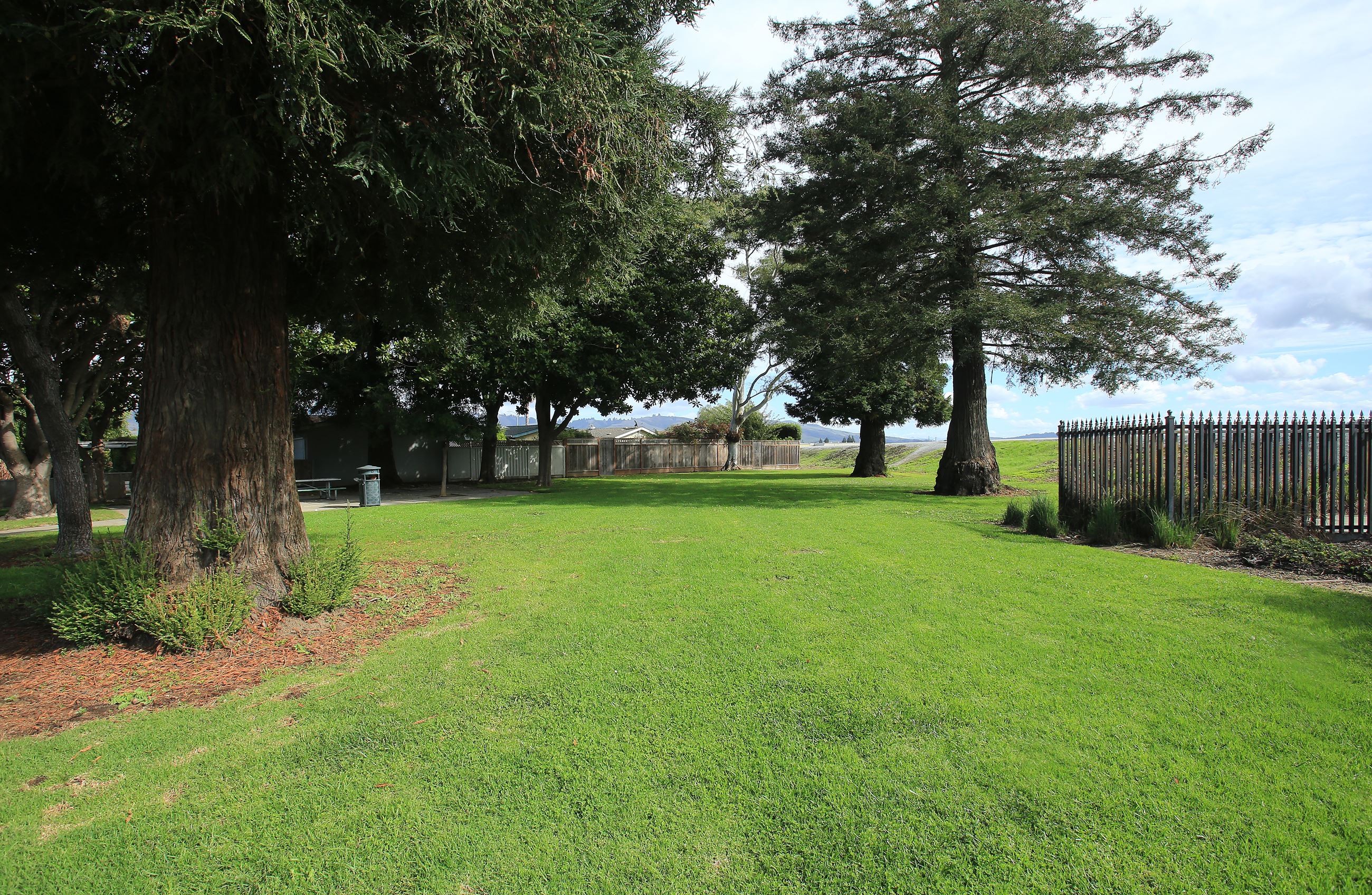 Arti park greenspace