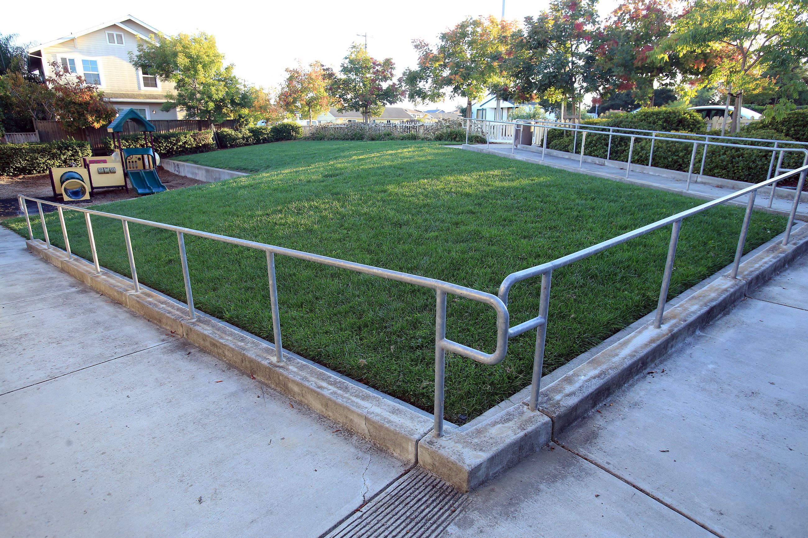 Cherry Blossom park greenspace area