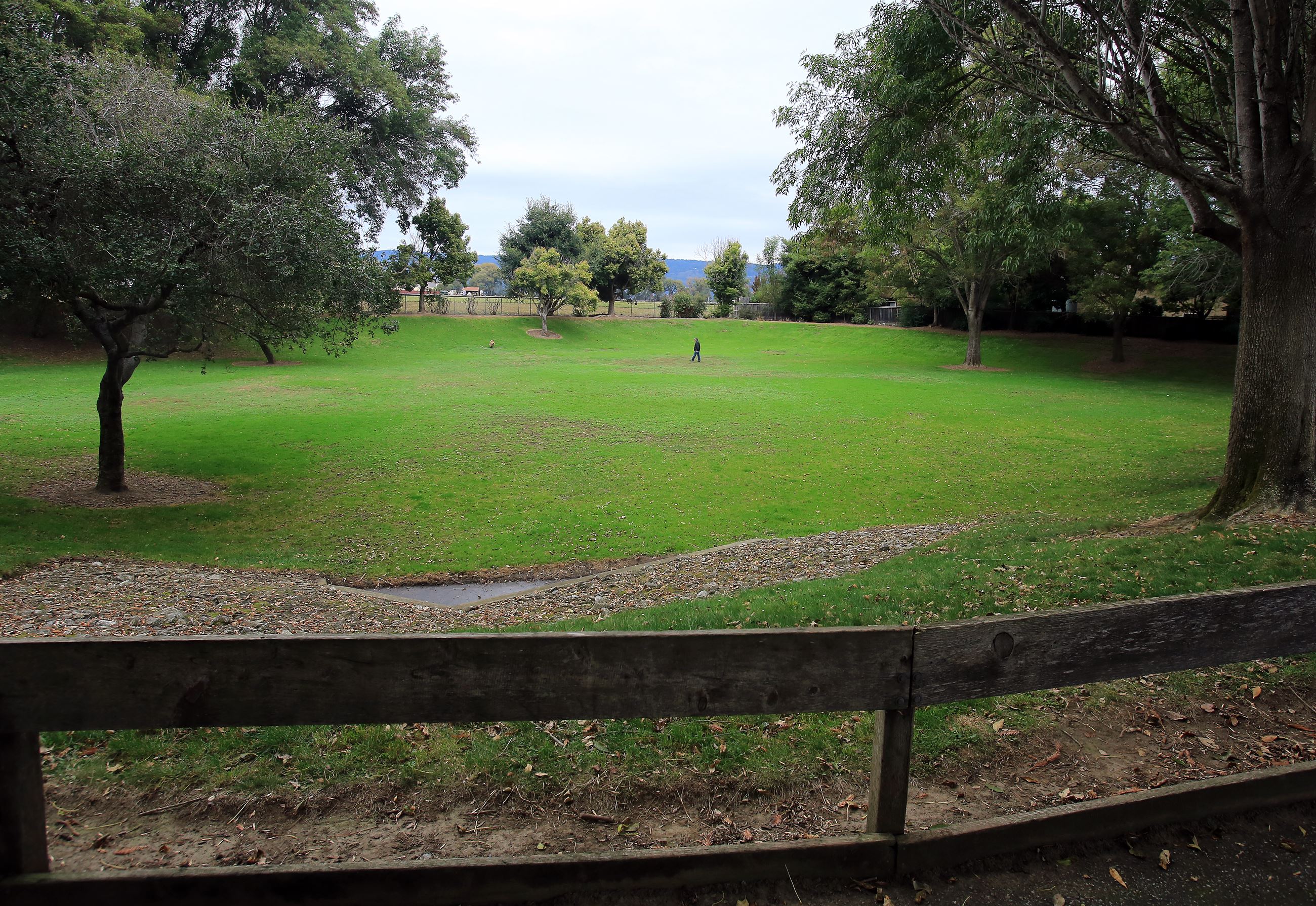 Crestview park large open greenspace