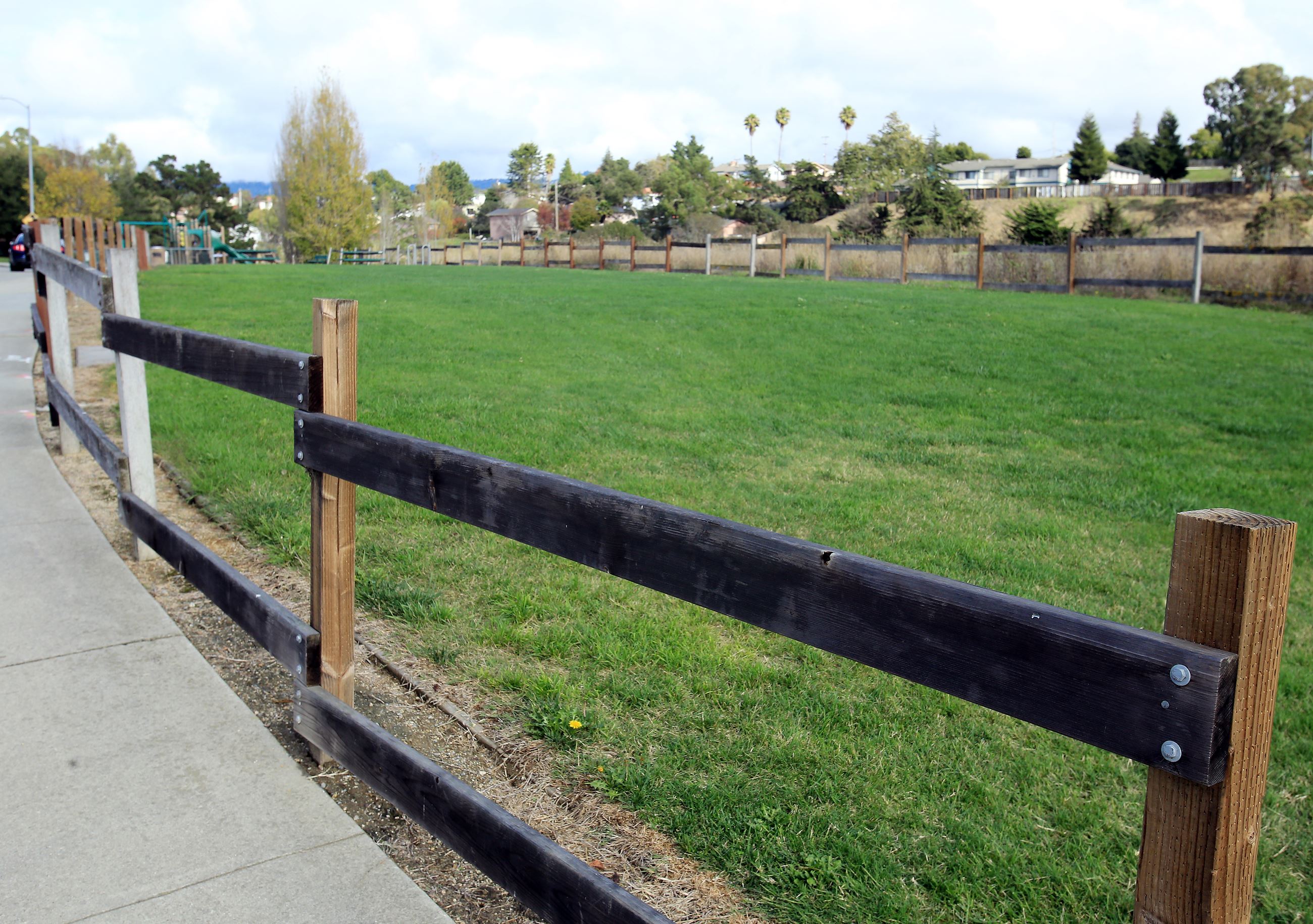Fenced in greenspace at Hope park