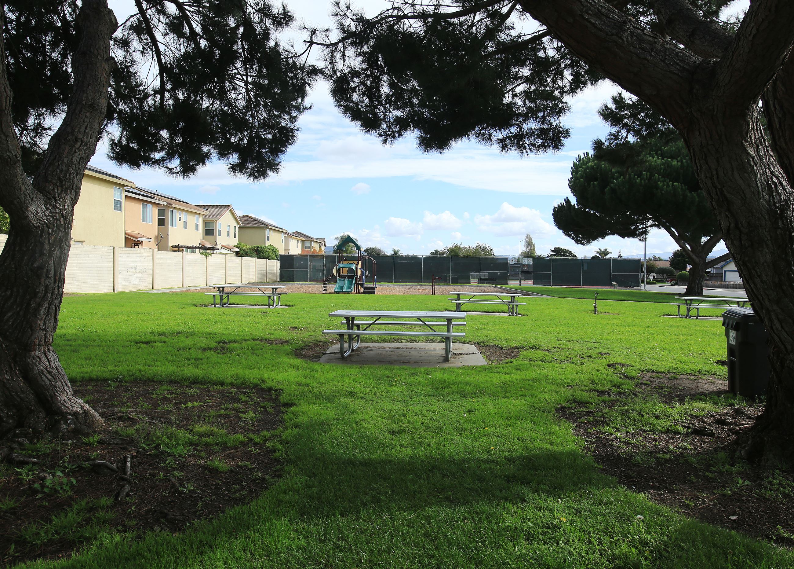 Joyce park greenspace and picnic tables