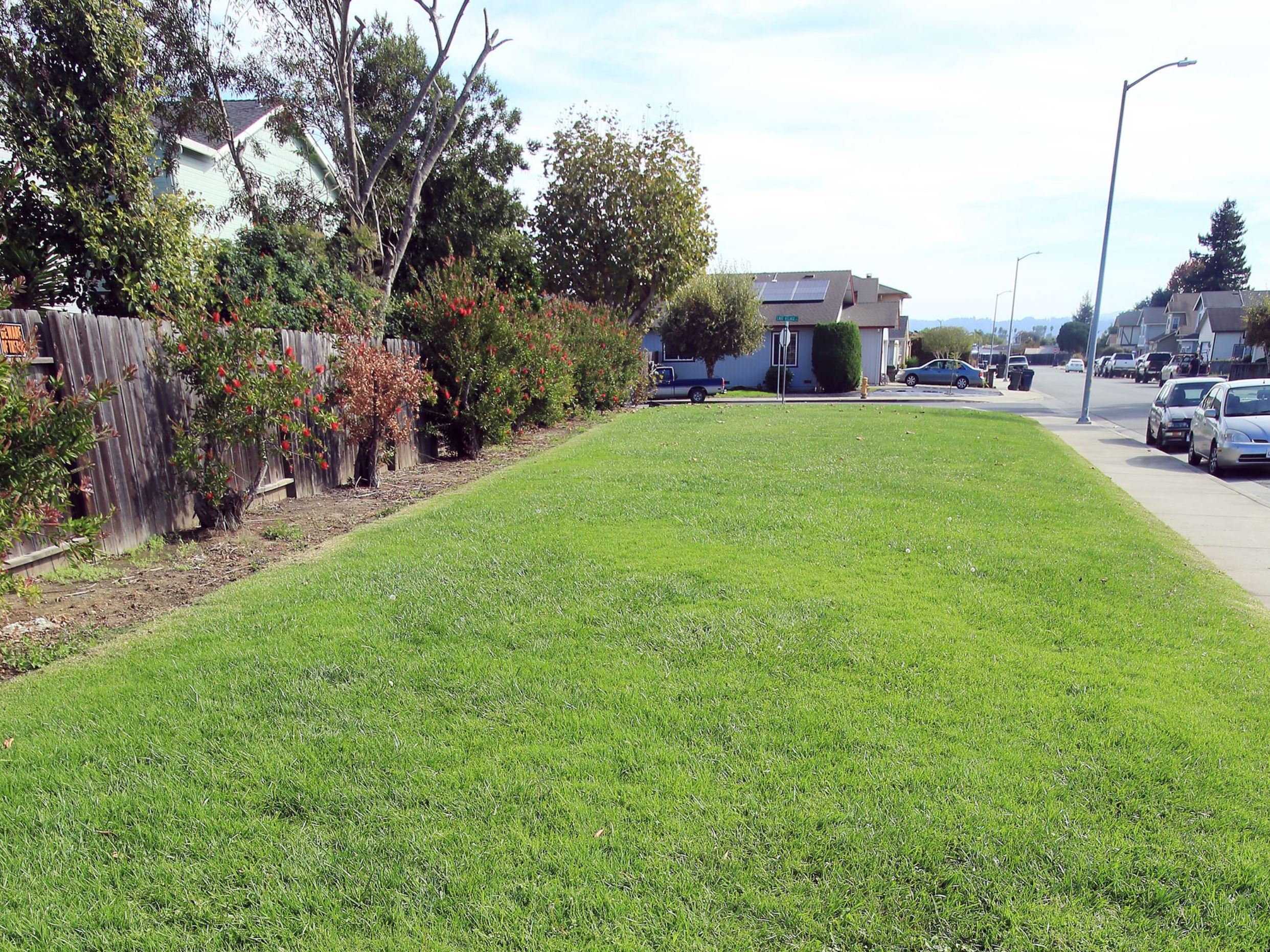 Weeks park greenspace next to street and fence