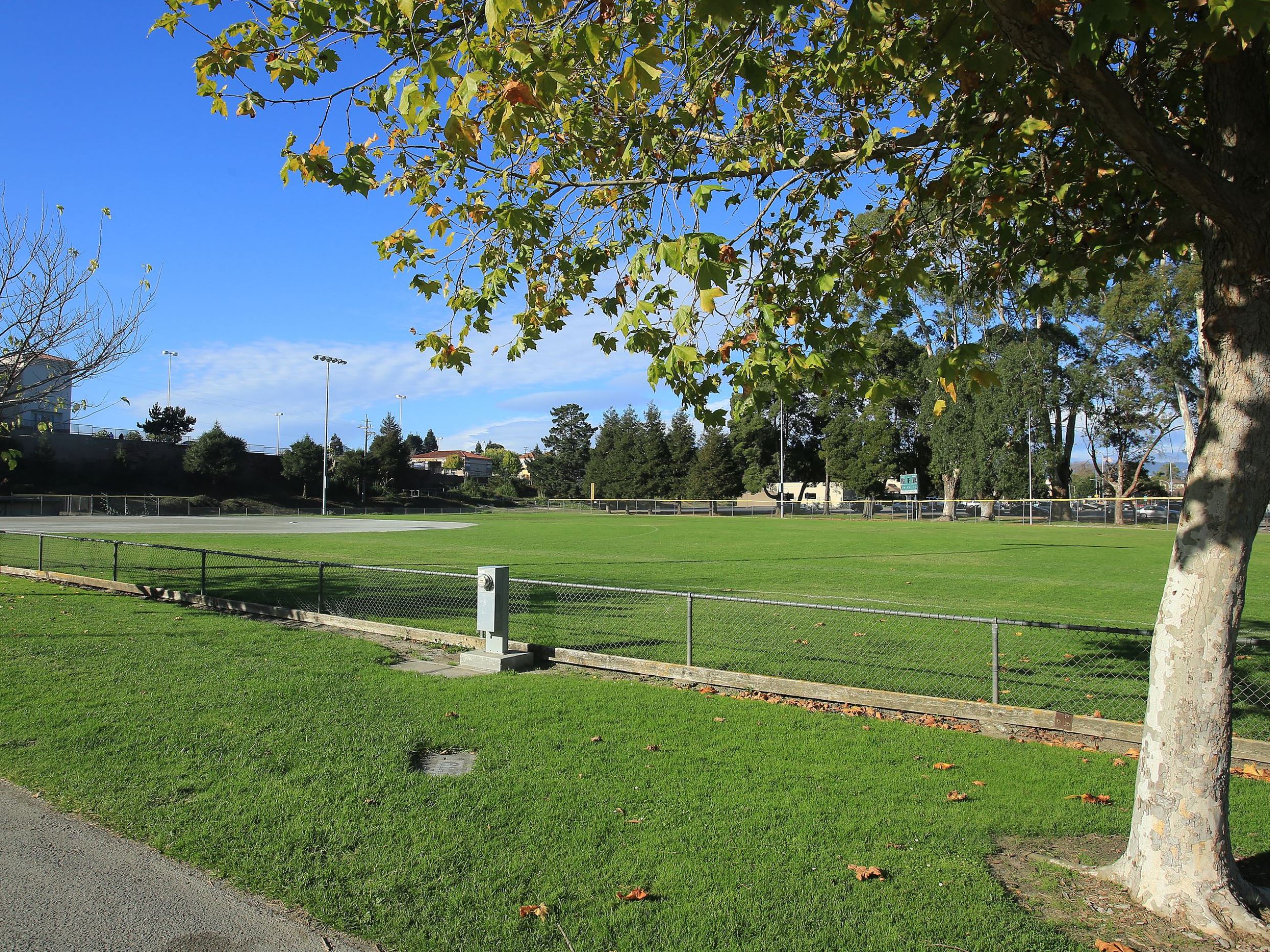 Fenced in greenspace at Ramsay park