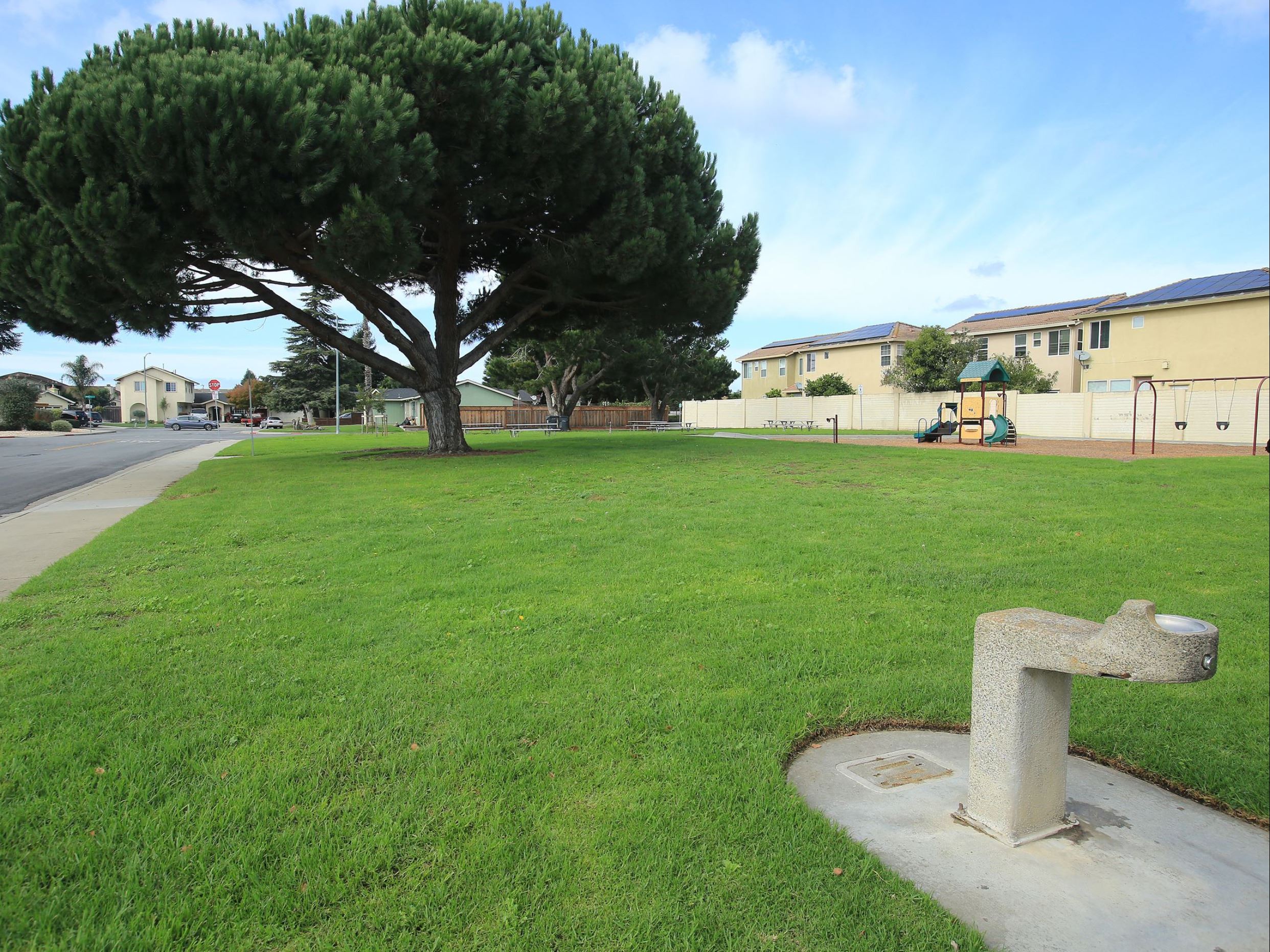Joyce park greenspace and water fountain