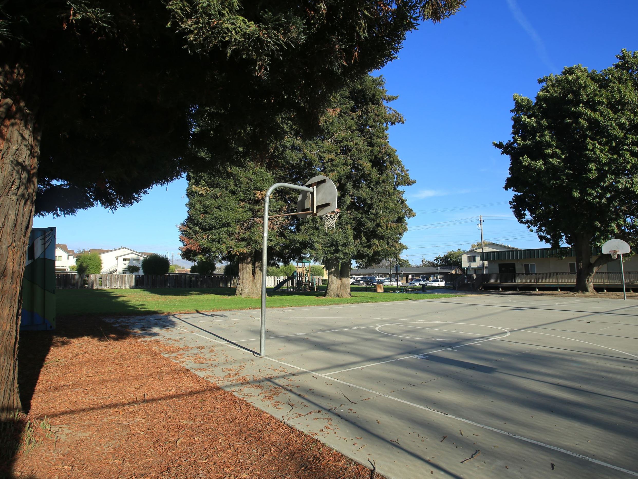 Basketball court at Muzzio park