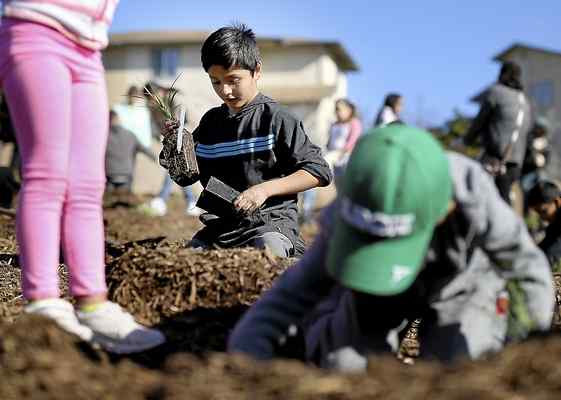 Child planting at World Wetlands Day