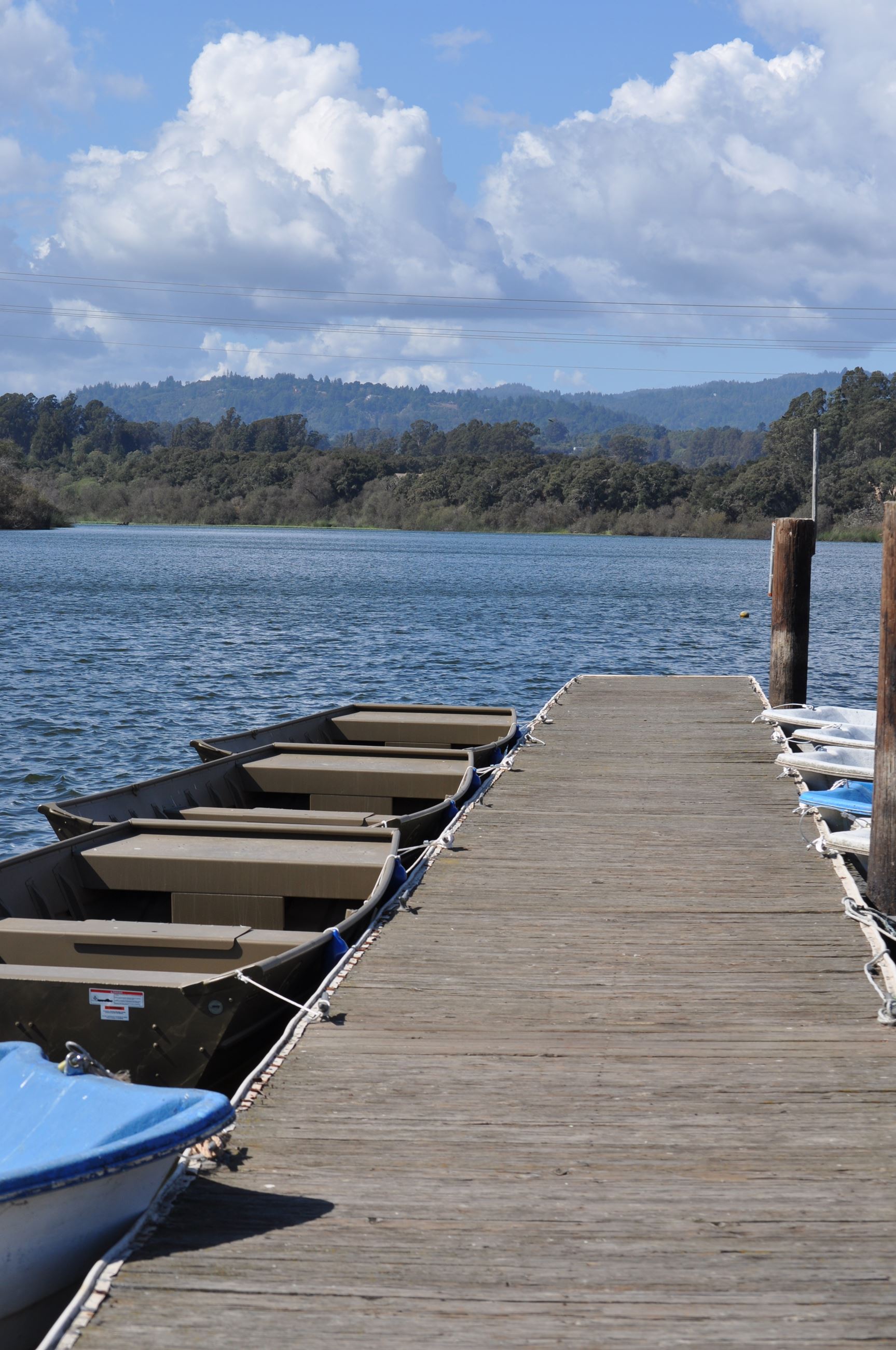 Pinto Lake Dock with Boats