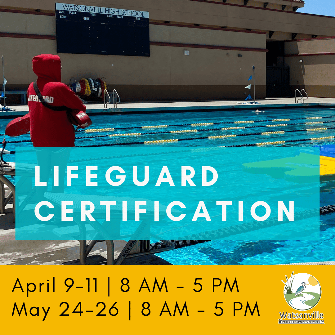 Lifeguard Training 2024 Dates