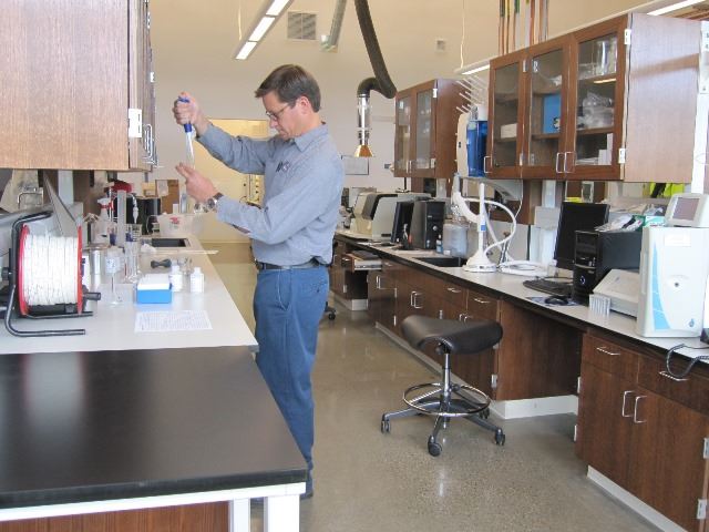 Individual holding up a sample in a lab and testing it