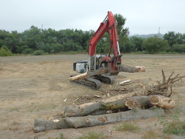 Construction Equipment Picking Up Tree Trunks